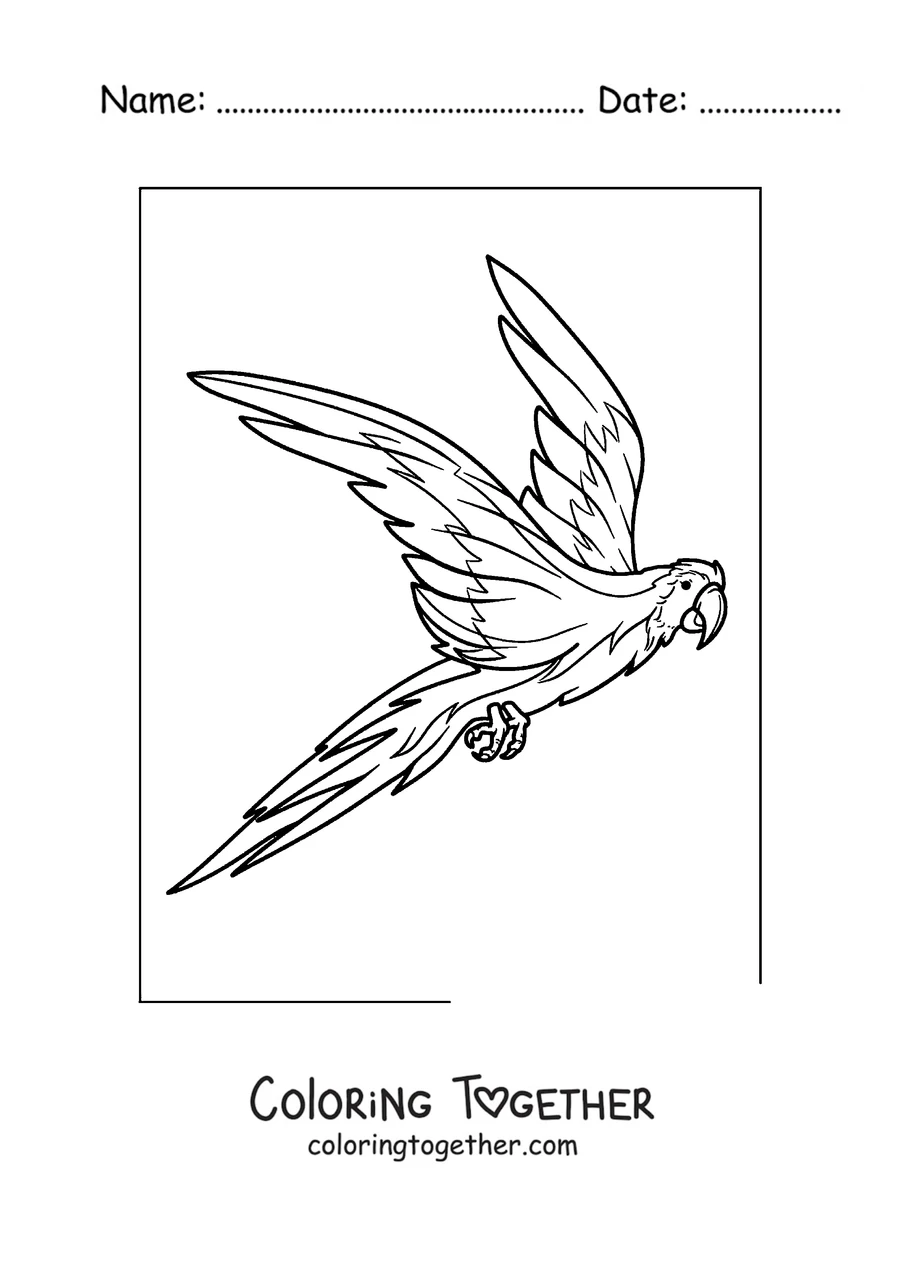 Coloring page of a parrot flying with wings wide open