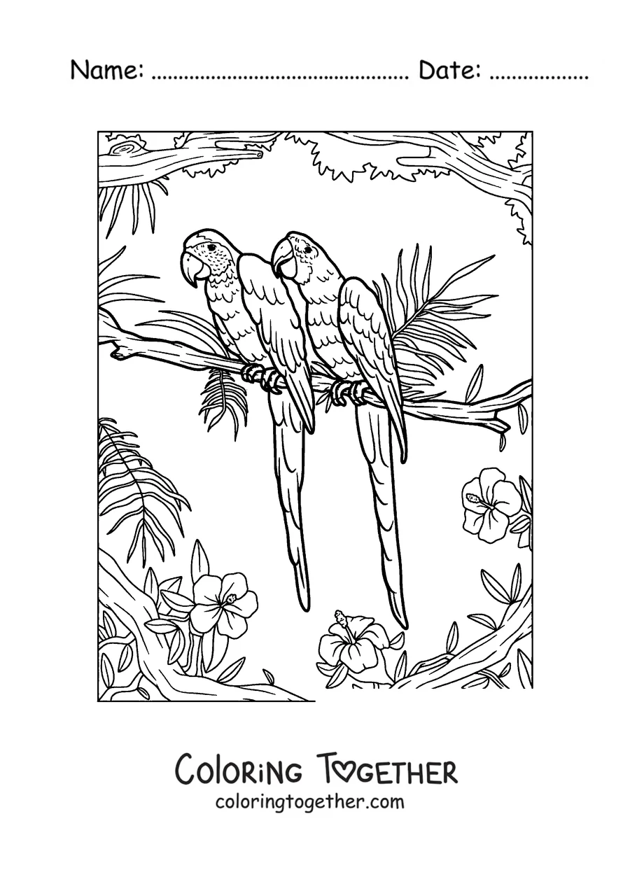 Coloring page of two parrots perched together on a branch