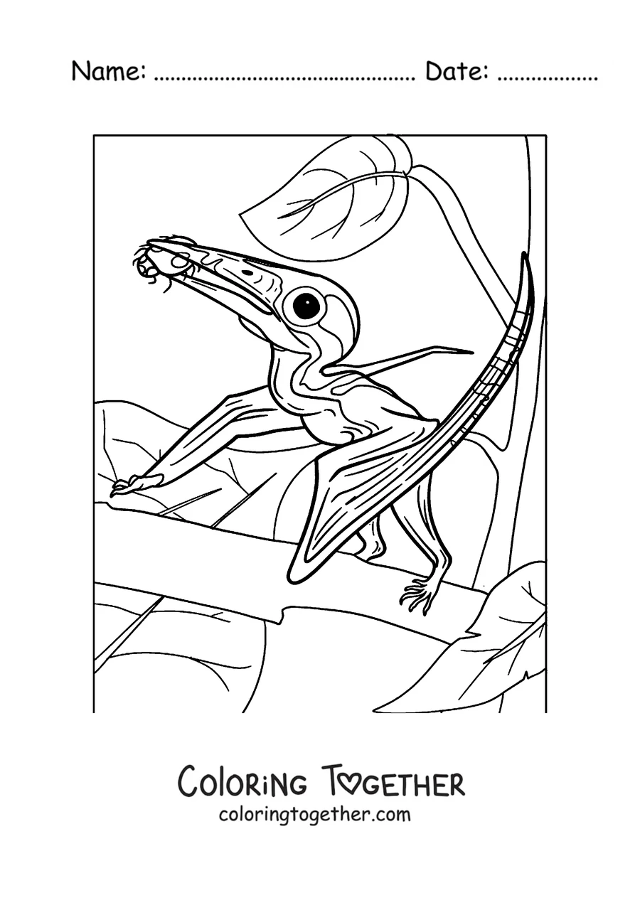 Coloring page of a close-up of a pterodactyl head with its crest