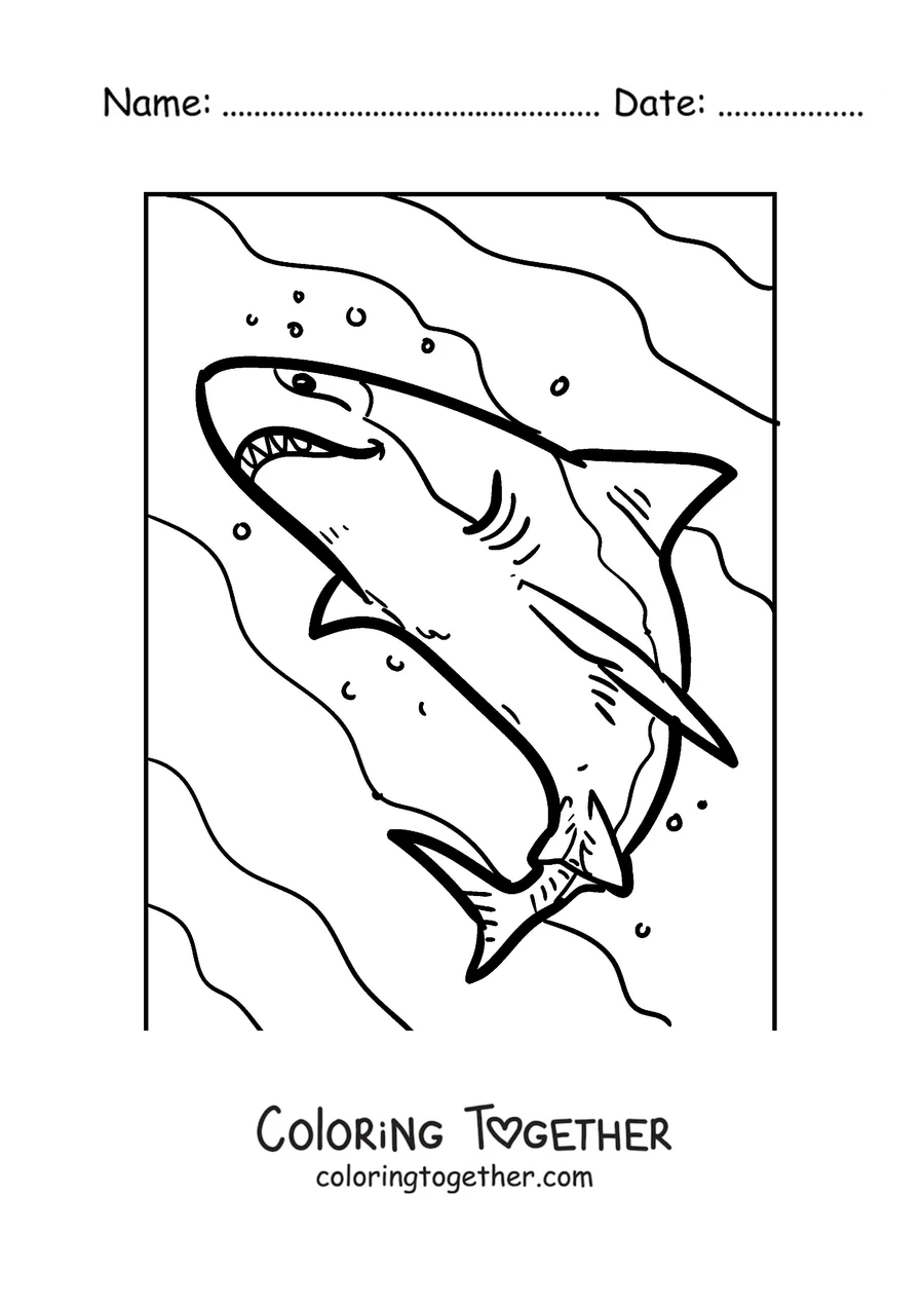 Coloring page of a realistic great white shark swimming up