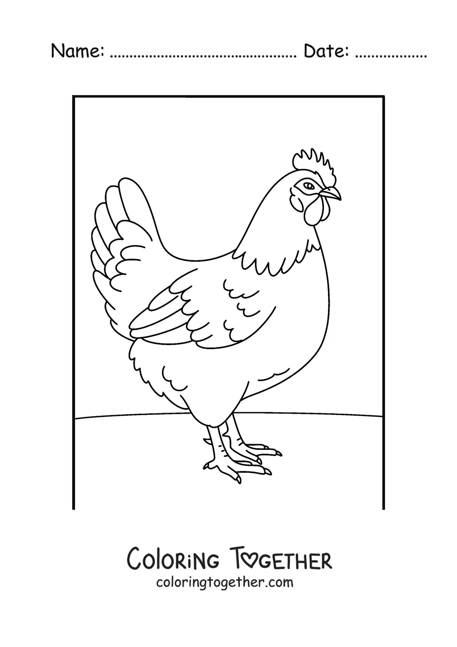 Coloring page of a realistic hen in profile