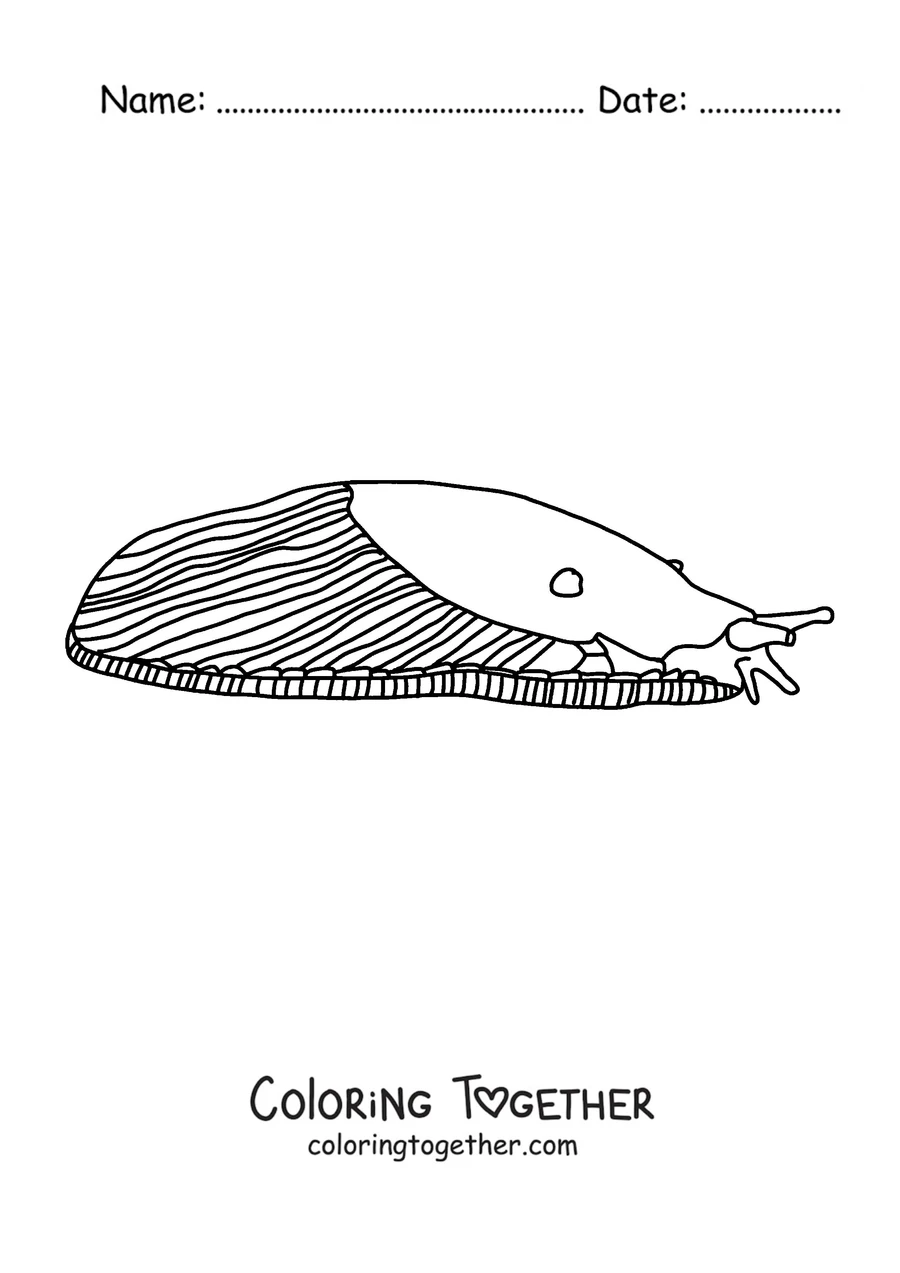 Coloring page of a realistic slug in side view with a striped mantle