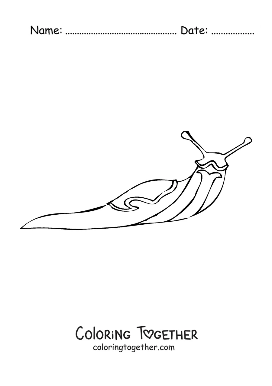 Coloring page of a realistic slug with a smooth body