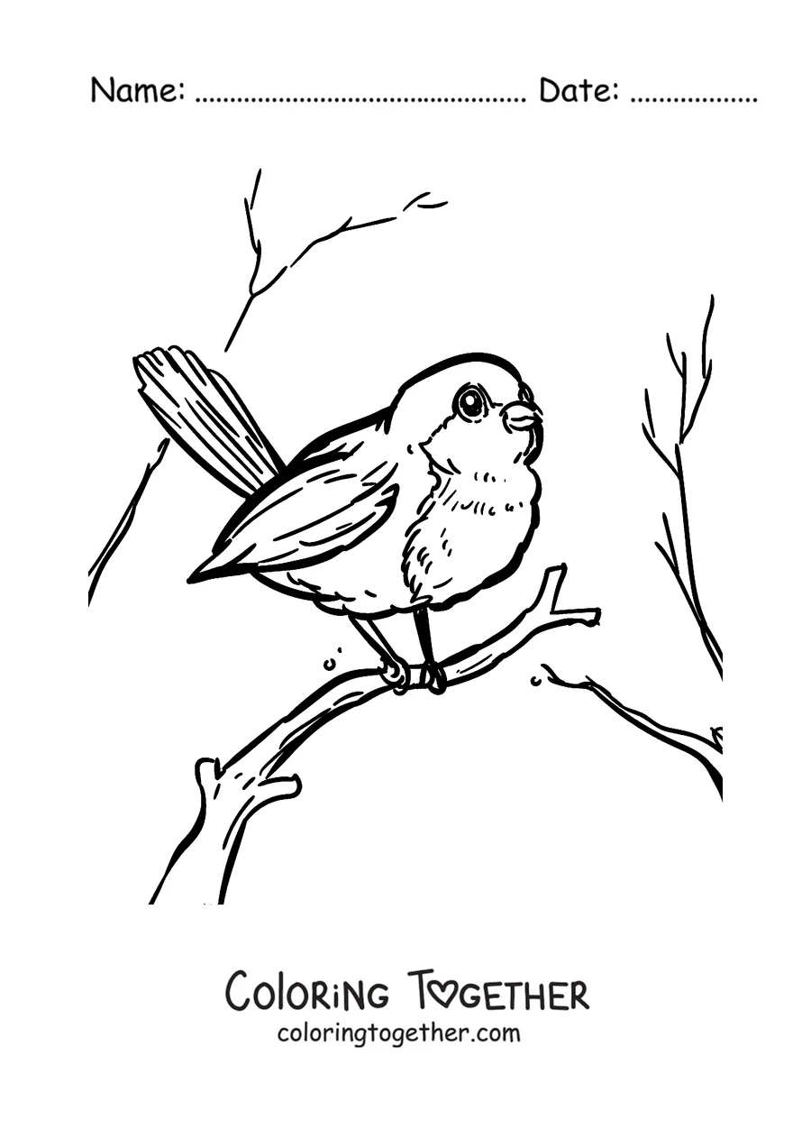 Coloring page of a robin among bare winter branches