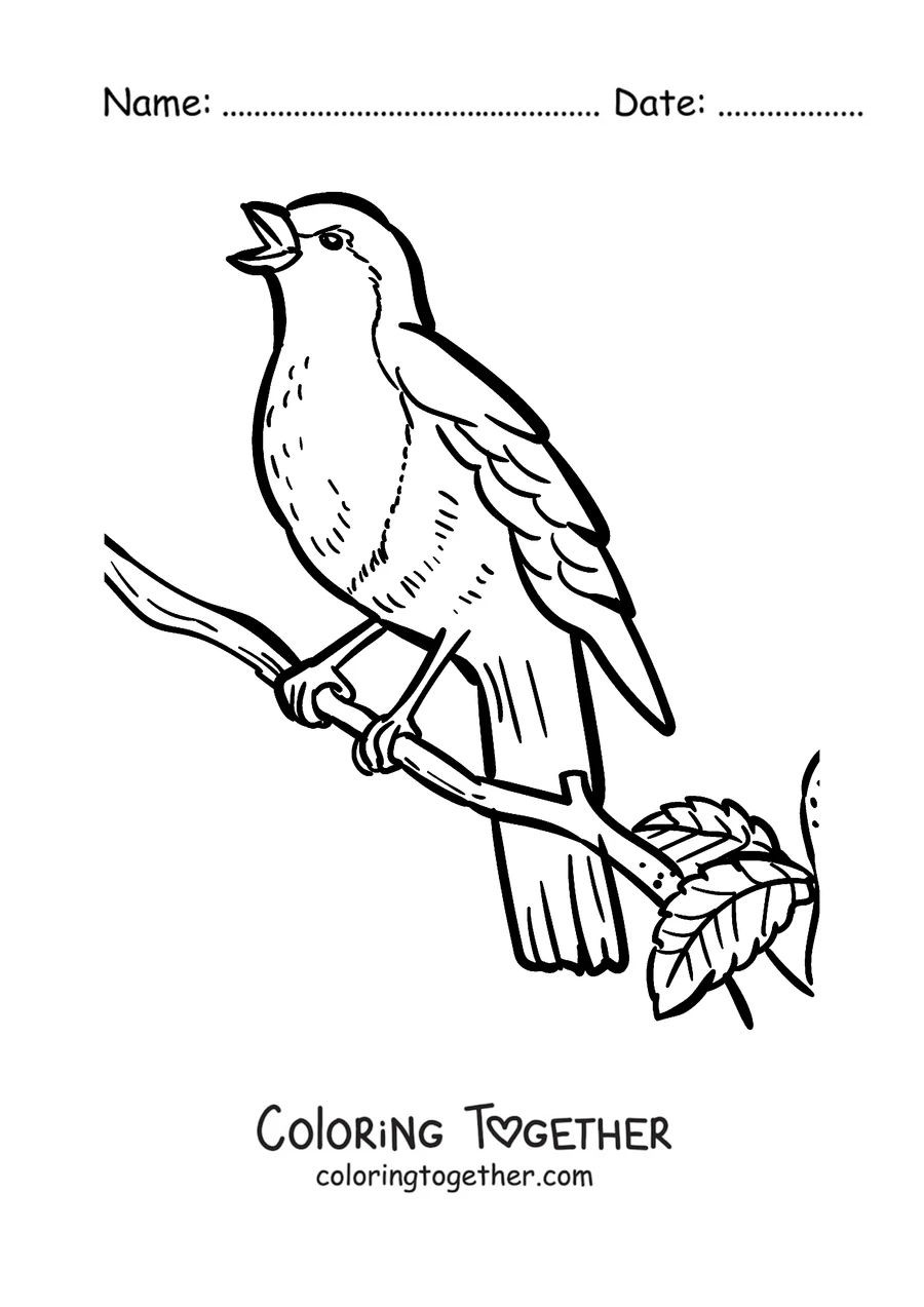 Coloring page of a robin on a branch with a leaf