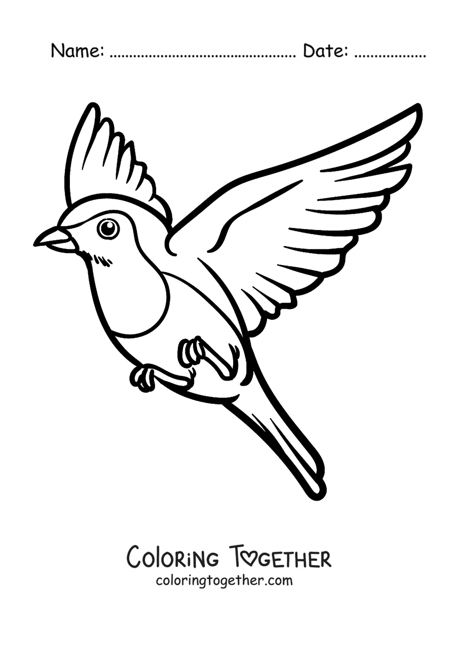Coloring page of a robin flying with its wings spread