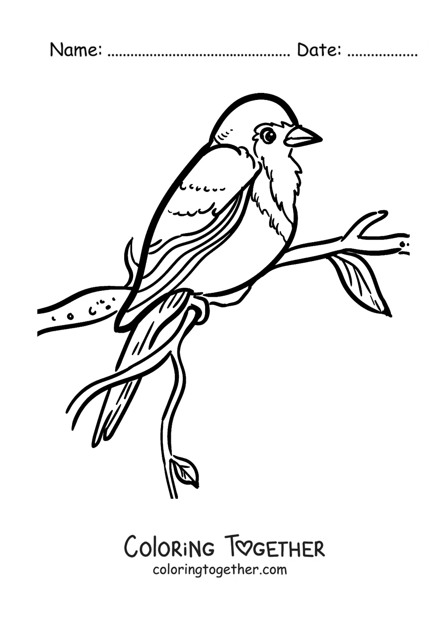 Coloring page of a robin perched on a leafy branch