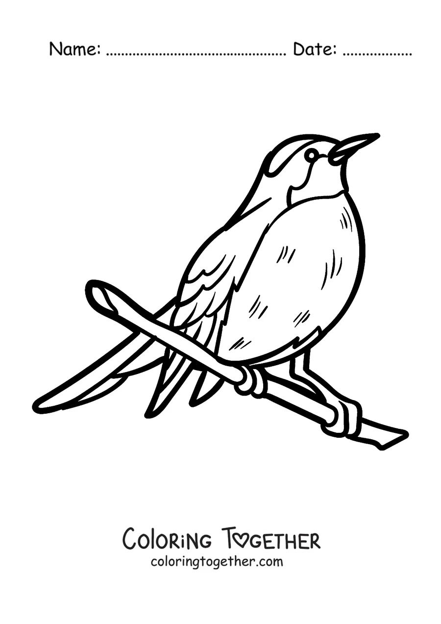 Coloring page of a robin perched on its branch