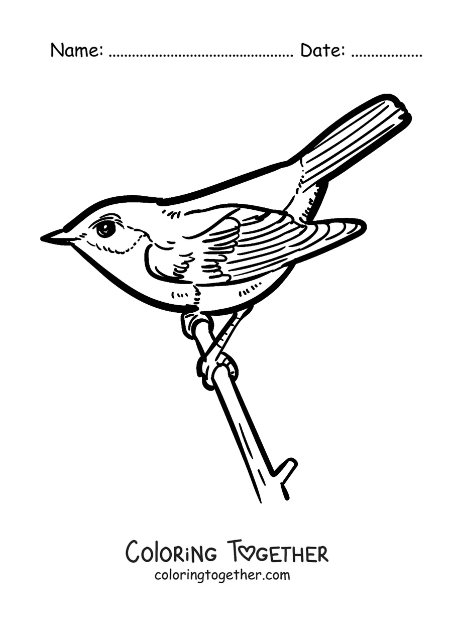 Coloring page of a robin on the tip of a twig