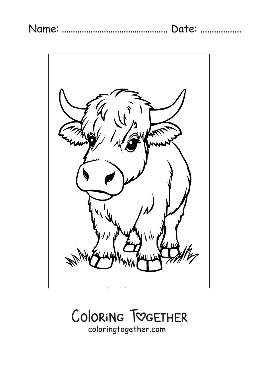 Coloring page of shaggy highland cow with long horns