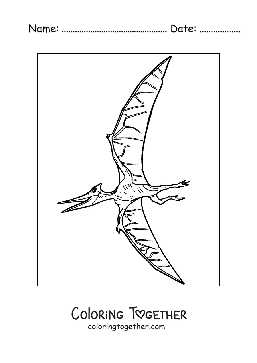 Coloring page of a simple pterodactyl flying in the sky