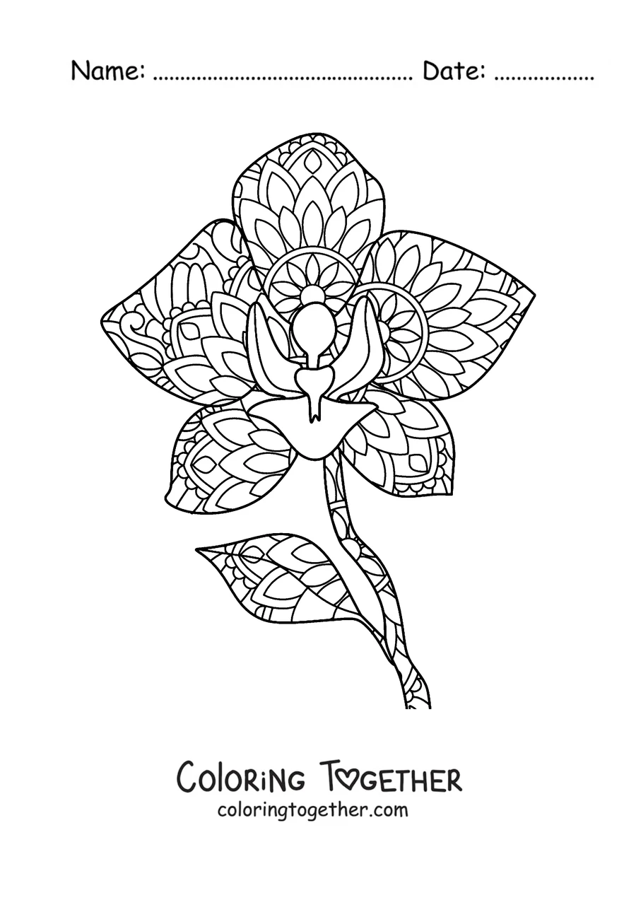 Coloring page of a spring mandala shaped like an orchid with decorated petals