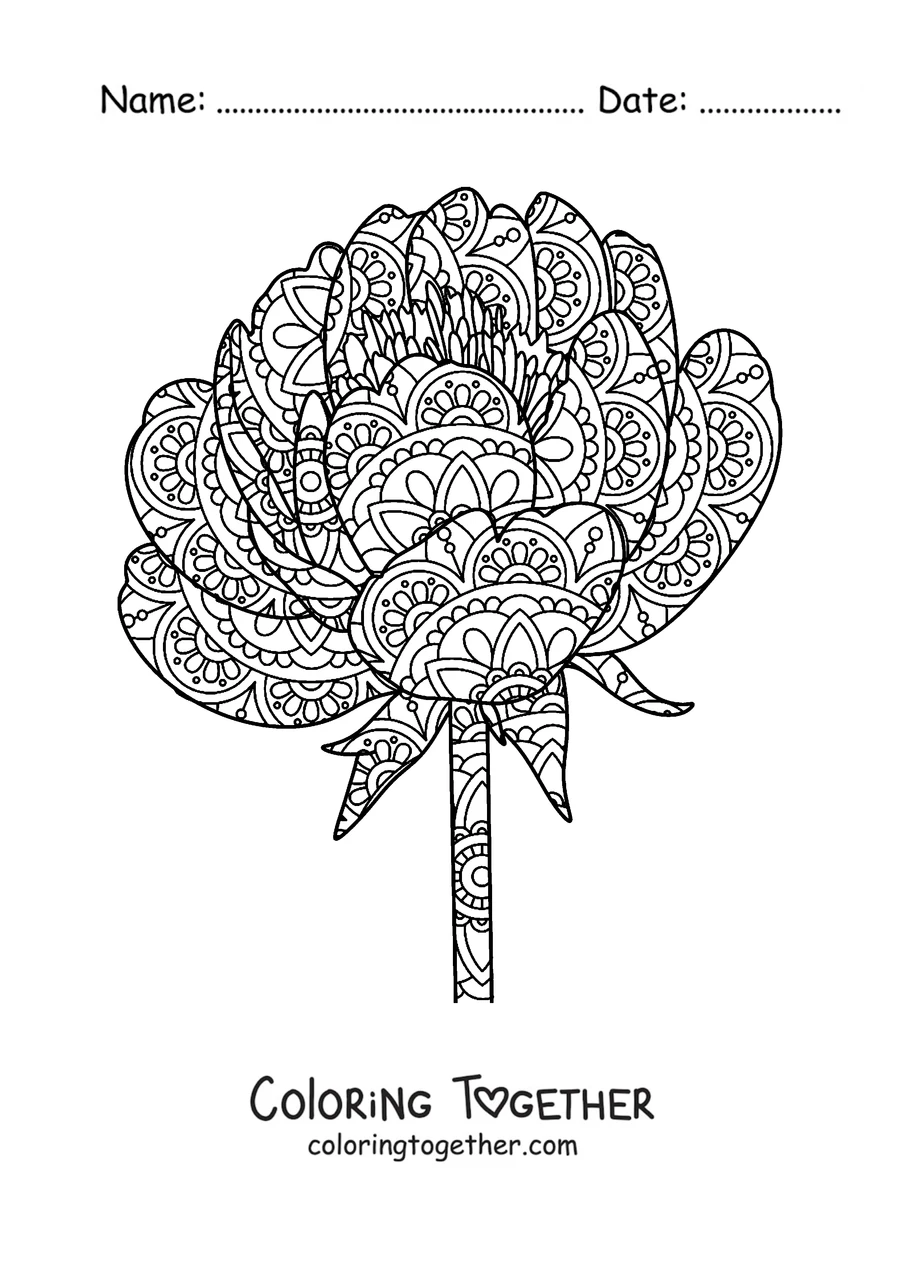 Coloring page of a spring mandala shaped like a peony full of detailed petals