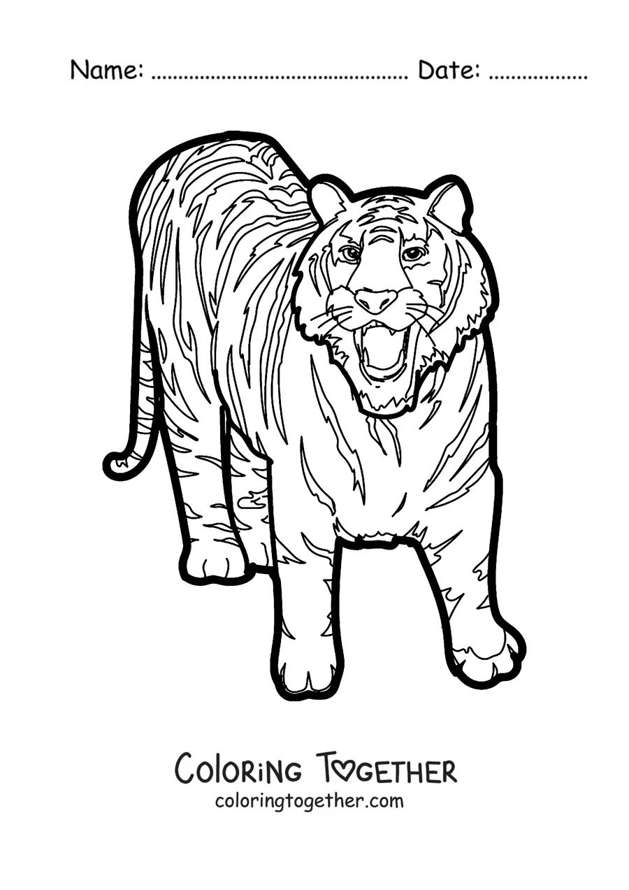 Coloring page of a tiger walking and showing its teeth