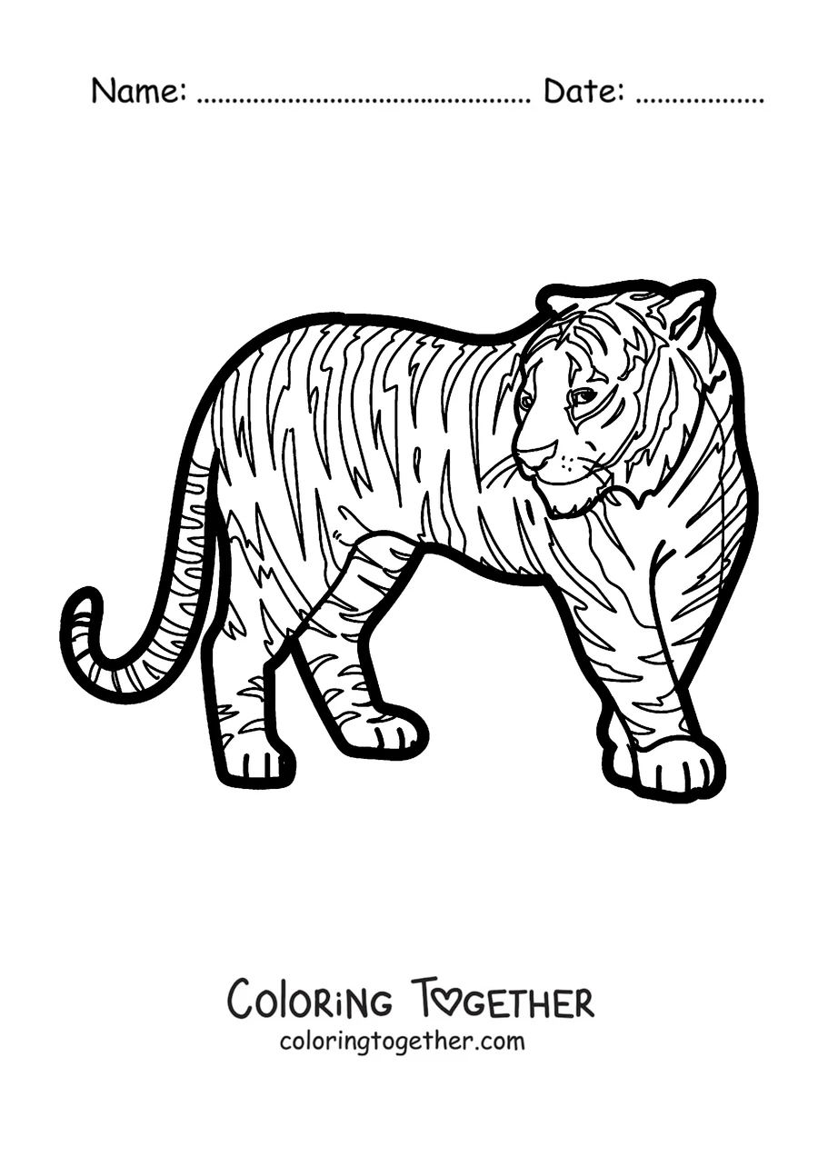 Coloring page of an adult tiger standing in profile