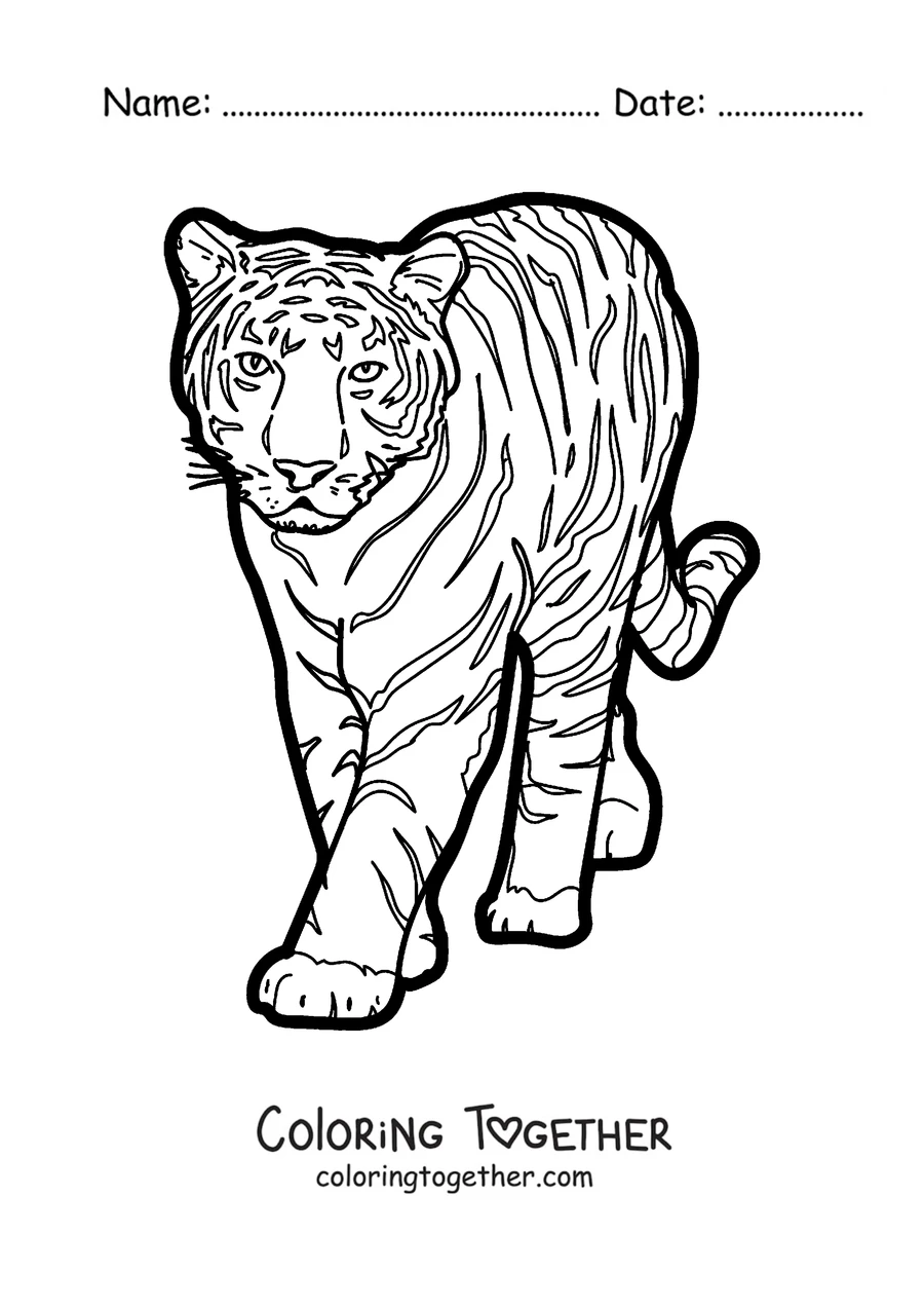 Coloring page of a tiger walking toward you