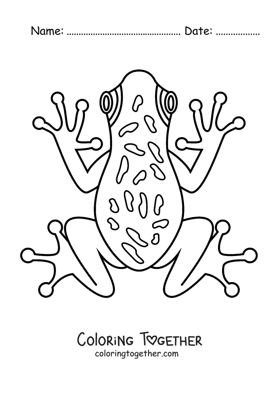 Coloring page of a tree frog seen from above
