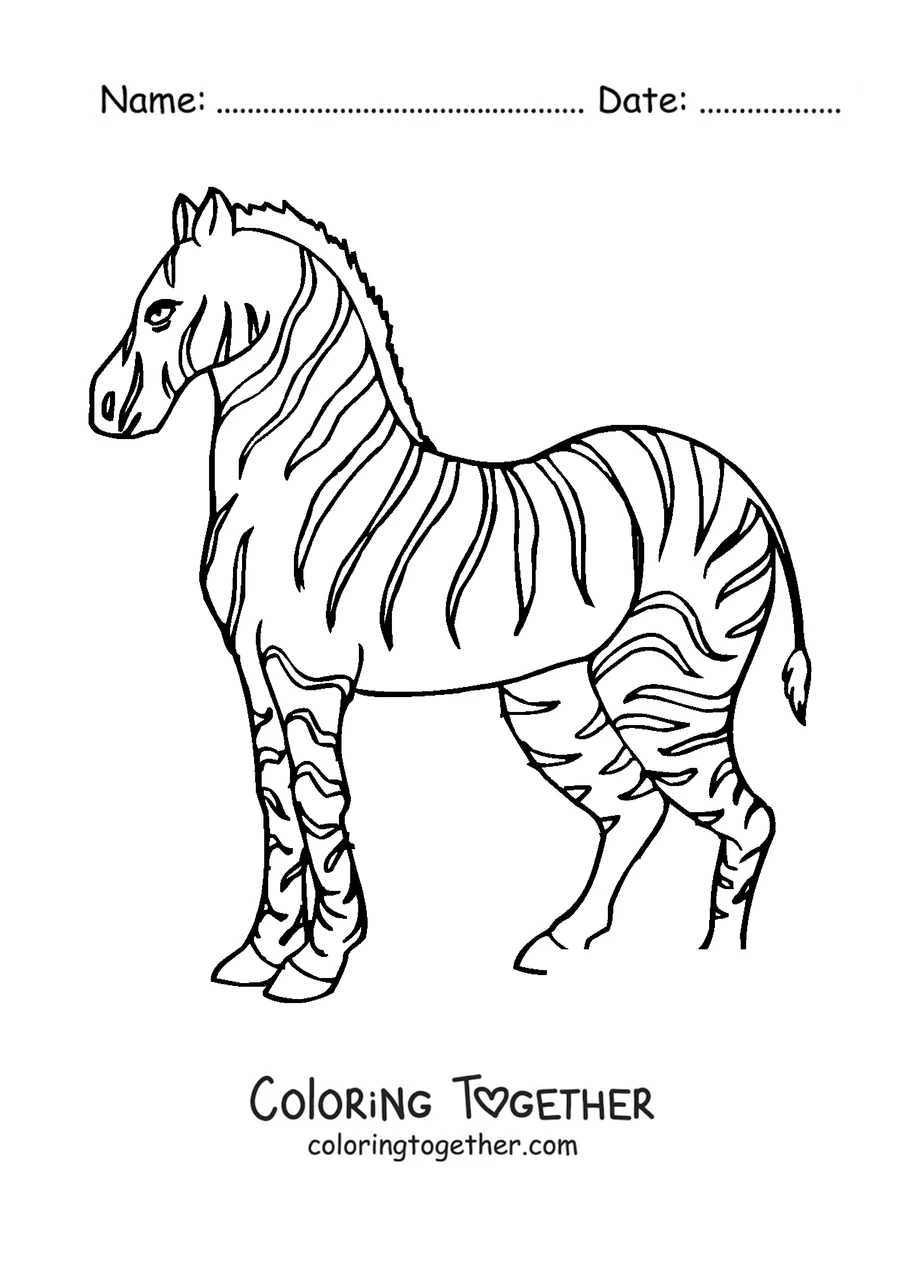 Coloring page of a zebra standing in profile