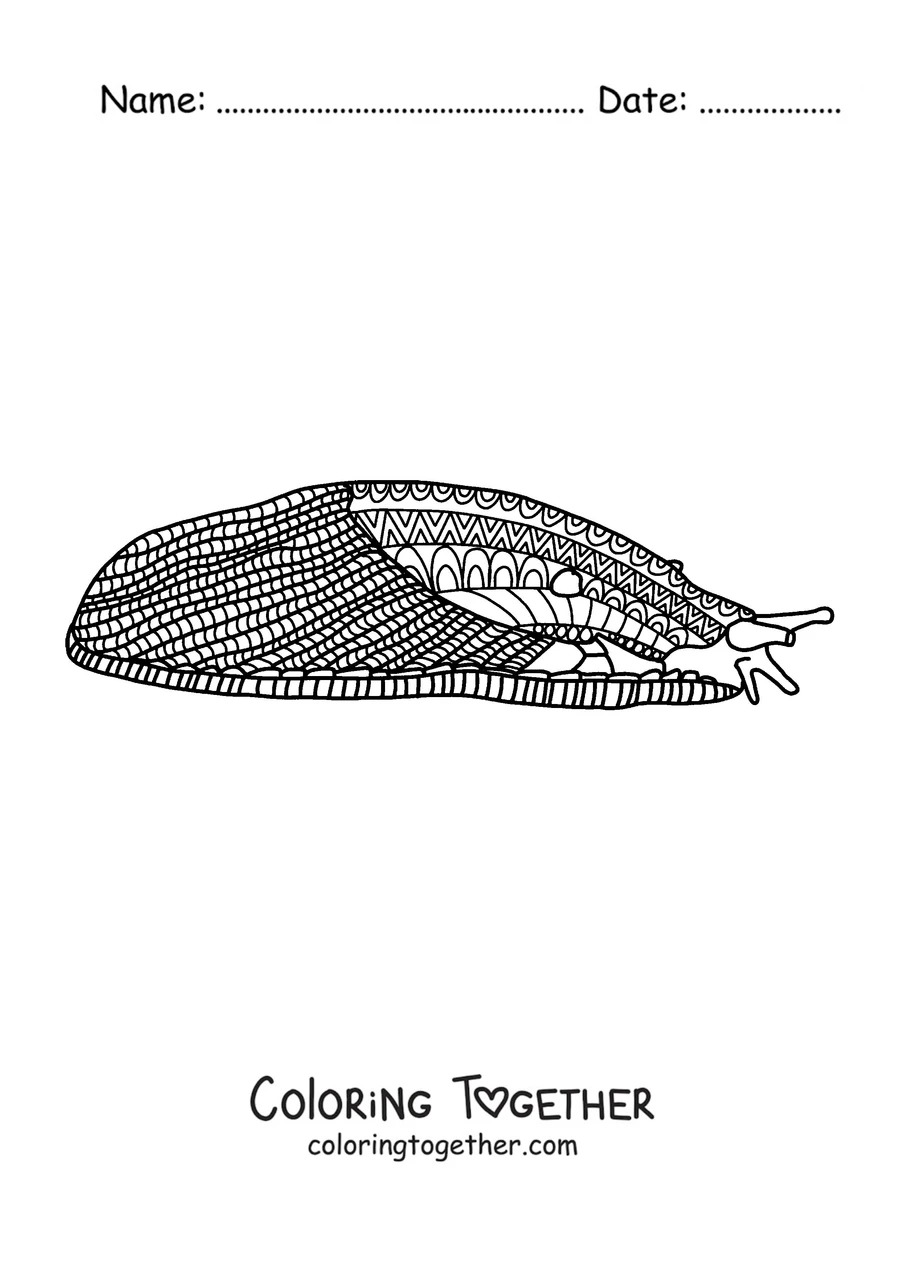 Coloring page of a slug covered in patterns to relax