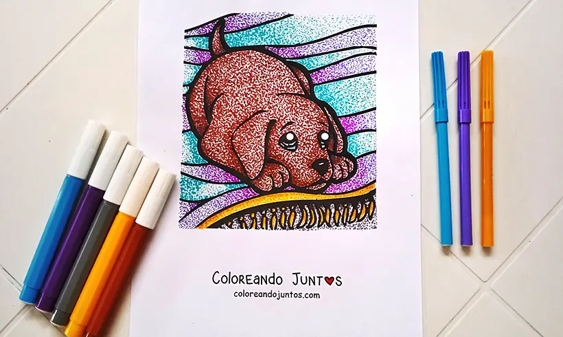 Drawing of a dog colored by Coloring Together
