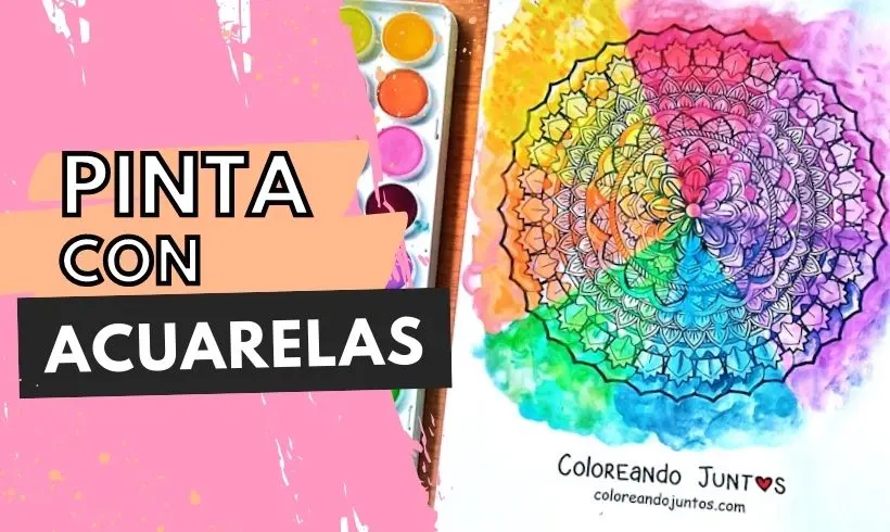 Watercolors