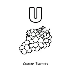 Coloring page of the letter u for grapes