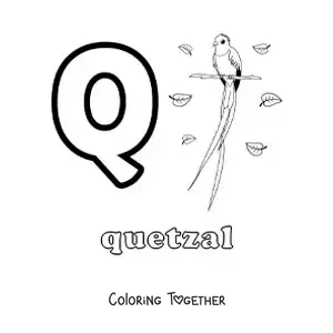Coloring page of the letter q for quetzal