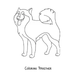 Coloring page of a husky