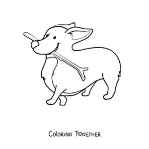 Coloring page of a corgi biting a stick