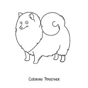 Coloring page of a Pomeranian