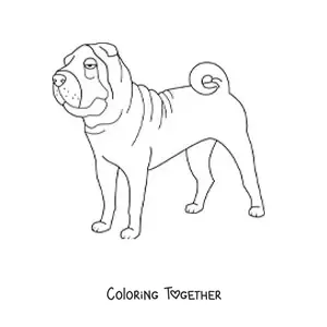 Coloring page of a shar pei