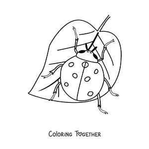 Coloring page of a realistic ladybug on a leaf