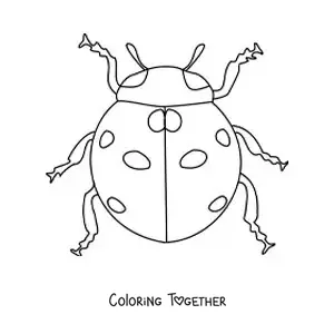 Coloring page of a realistic ladybug
