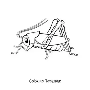 Coloring page of a big cricket
