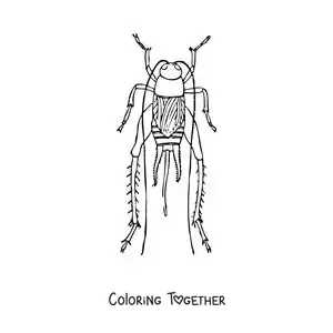 Coloring page of a cricket
