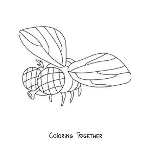 Coloring page of a housefly flying
