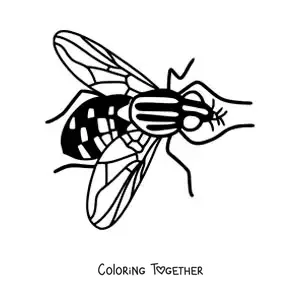 Coloring page of a big fly