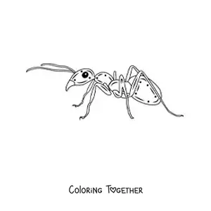 Coloring page of a realistic ant