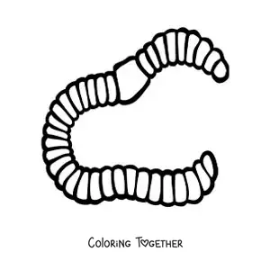 Coloring page of a realistic annelid