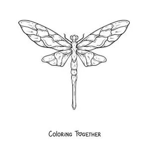 Coloring page of a realistic dragonfly