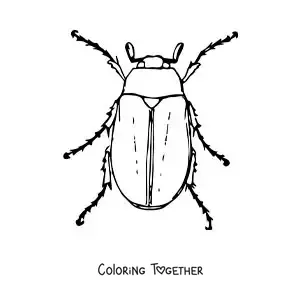 Coloring page of a big, realistic cockchafer