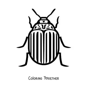 Coloring page of an easy potato beetle