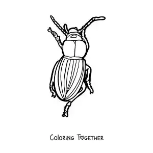 Coloring page of a beetle walking
