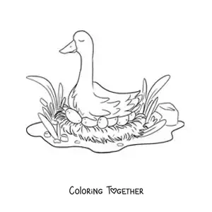 Coloring page of the Ugly Duckling's mom sitting on her eggs
