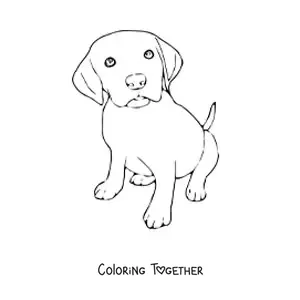 Coloring page of a Labrador puppy