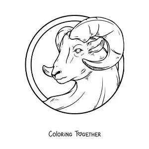 Coloring page of the ram of the Aries sign, realistic and large
