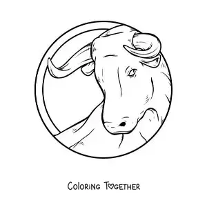 Coloring page of the bull of the Taurus zodiac sign, realistic and large