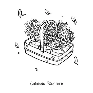 Coloring page of plants ready to transplant in a basket