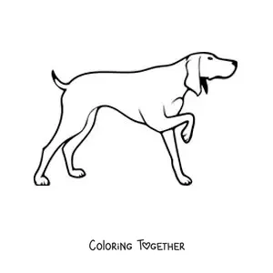 Coloring page of a hunting dog