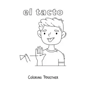 Coloring page of the sense of touch in the human body for kids